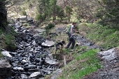 14 Neonato torrente Voia
